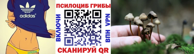 Галлюциногенные грибы прущие грибы  blacksprut онион  Вельск 